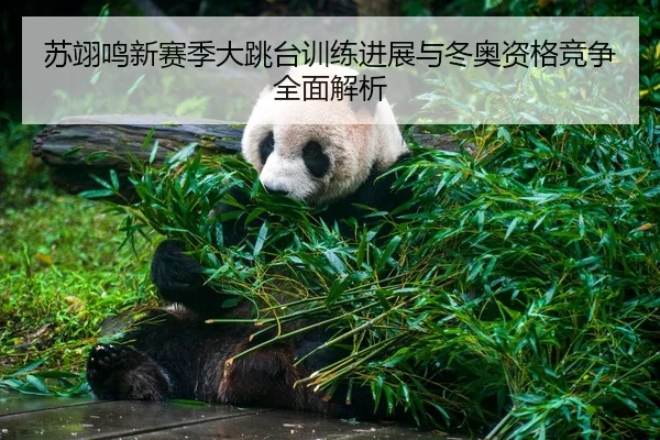 苏翊鸣新赛季大跳台训练进展与冬奥资格竞争全面解析